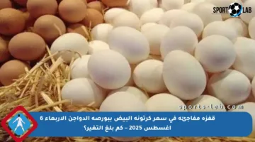 قفزة مفاجئة في سعر كرتونة البيض ببورصة الدواجن الأربعاء 6 أغسطس 2025 – كم بلغ التغير؟